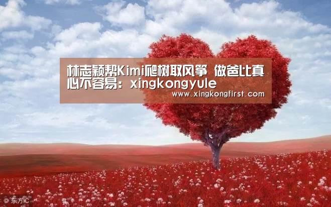 星空娱乐