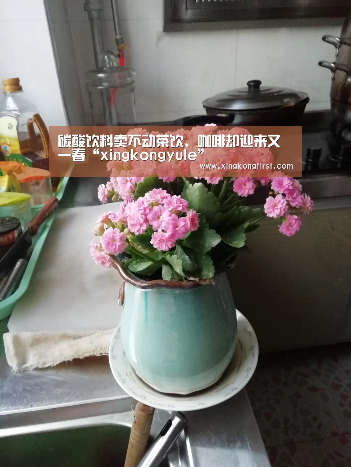 碳酸饮料卖不动茶饮、咖啡却迎来又一春“xingkongyule”(图4) 星空体育娱乐