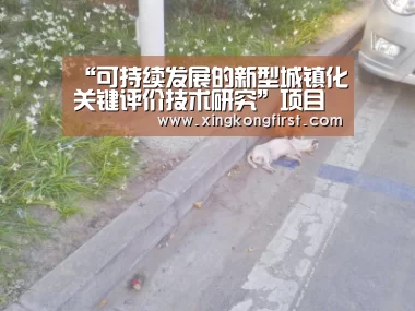 “可持续发展的新型城镇化关键评价技术研究”项目实施方案论证会暨项目启动会在北京召开|xingkongyule(图3) 星空体育官方登录