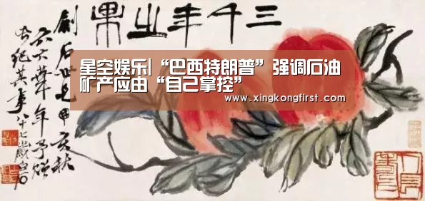 星空娱乐|“巴西特朗普”强调石油矿产应由“自己掌控”(图1) 星空体育官方登录